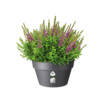 loft urban coupe 35cm anthracite